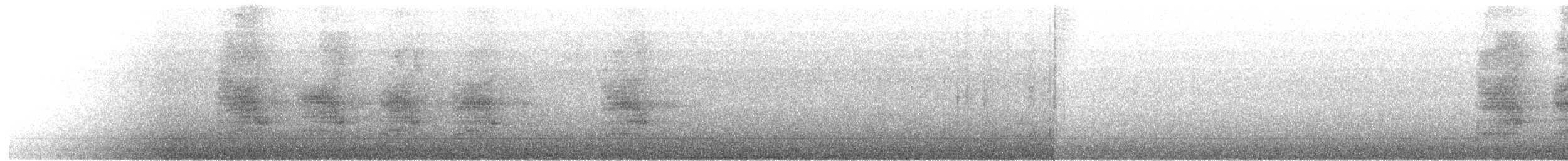 Chara de Steller - ML486244791