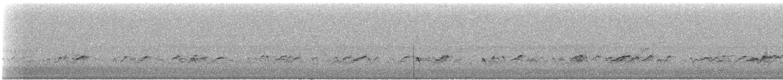 Chorlitejo Semipalmeado - ML486257431