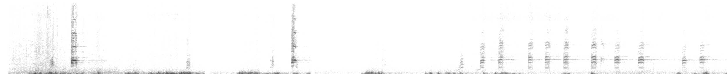 Black-faced Ibis - ML486271311