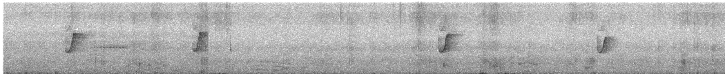 Atlantic Plain-Xenops - ML486272141