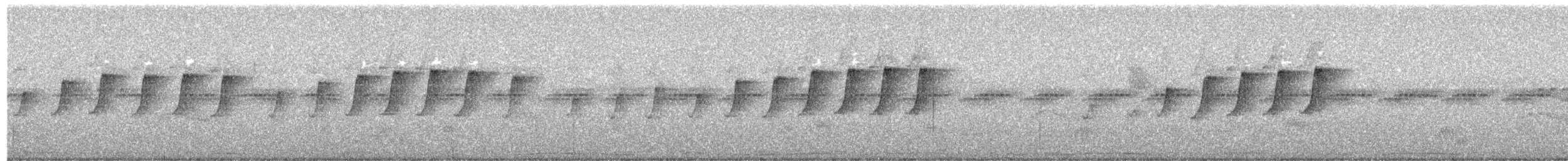 Atlantic Plain-Xenops - ML486272151