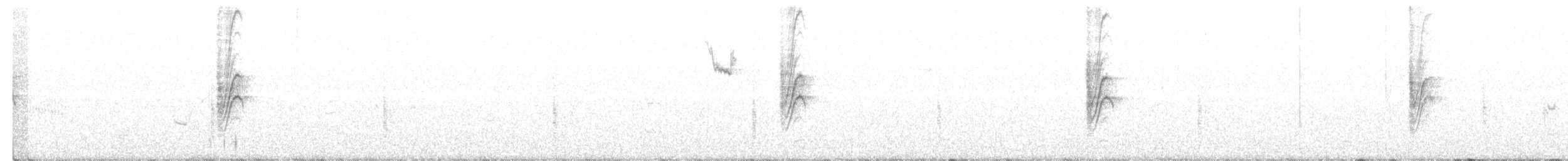Cucarachero Colinegro - ML486274331