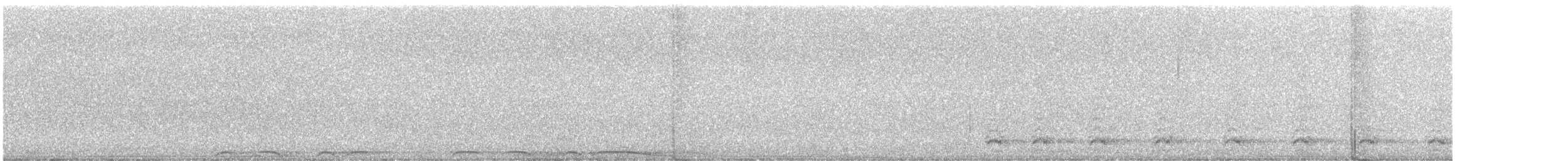 Chouette rayée - ML486311391