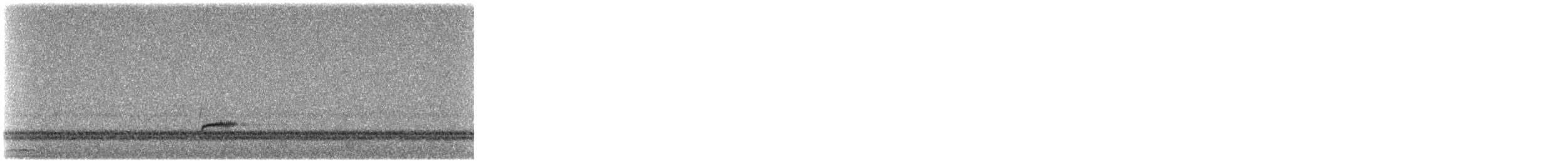 Swainson's Thrush - ML486311801