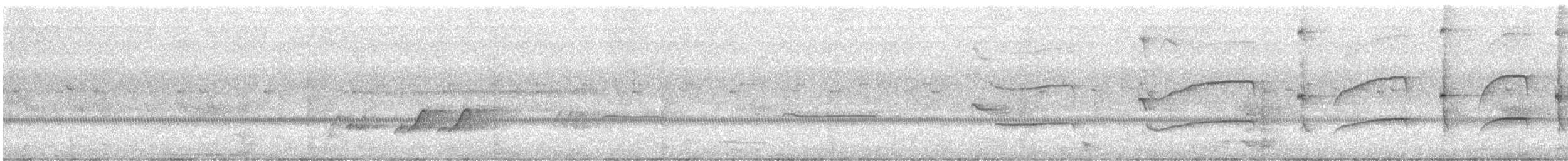 Tamatia rayé (striata) - ML486320131