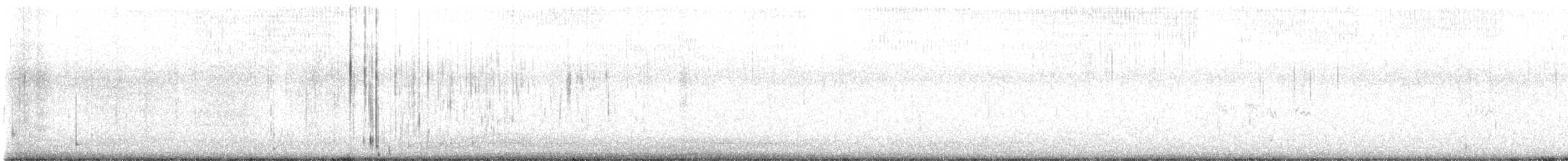 Перепончатопалый галстучник - ML486329571