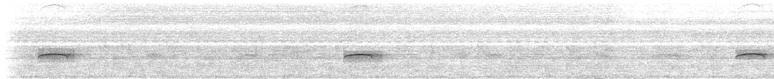 Güneyli Bıyıksız Tiranulet - ML486343051