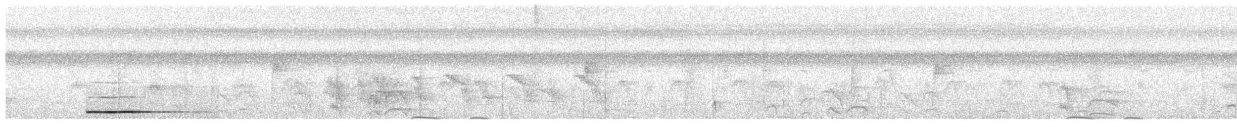 Thicket Tinamou - ML486345261