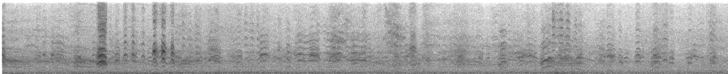 Mouette argentée (scopulinus) - ML486364241