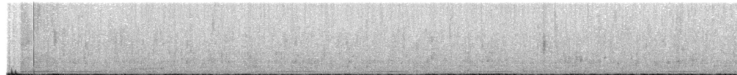 Striped Flufftail - ML486386971