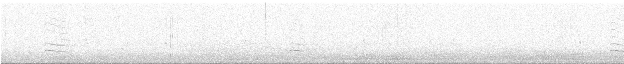 Дятел-смоктун білочеревий - ML486406861