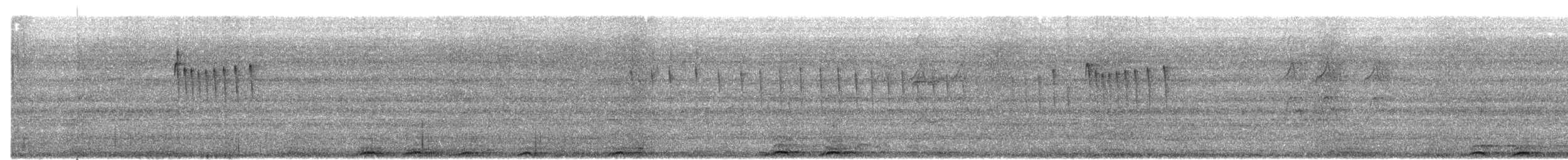 Weißscheitel-Kleintyrann (subcristata/straminea) - ML486445431