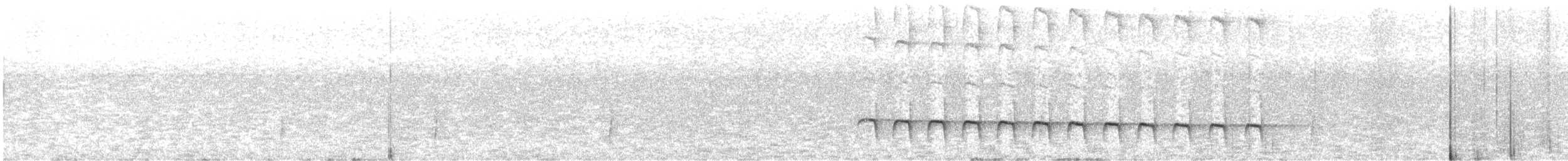 Weißrücken-Ameisenvogel - ML486460991