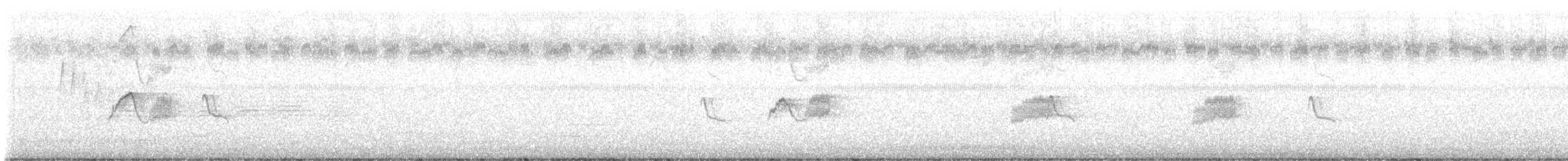 Weißbauch-Phoebetyrann - ML486461451