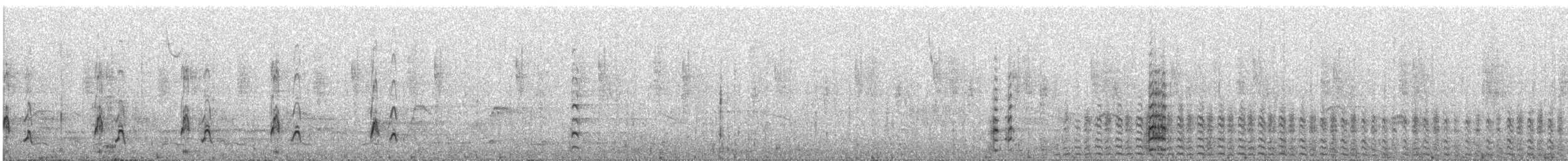 Андская лысуха - ML486483561