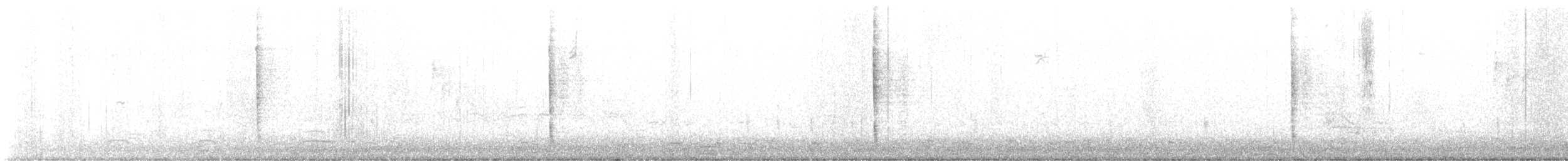 チャイロツグミモドキ - ML486553621