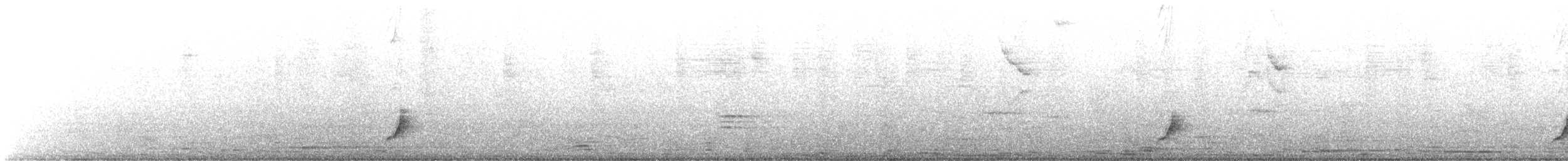 Kara Gagalı Ardıç - ML486579131