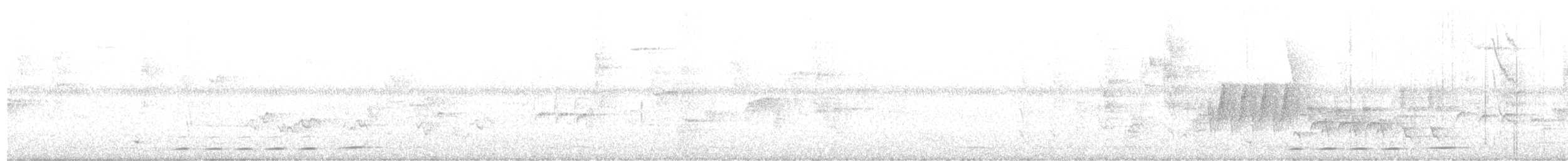 Rufous-and-white Wren - ML486581521