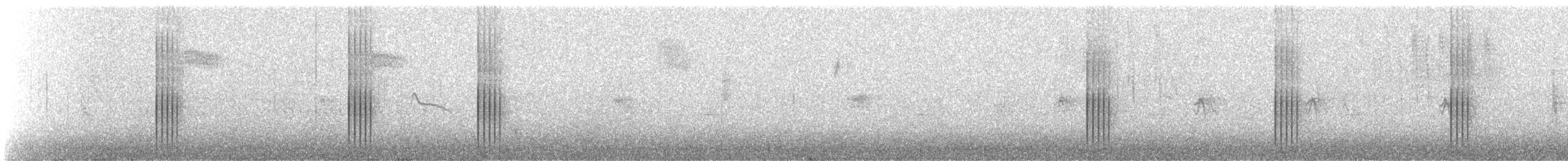 Büyük Yerkoşarı - ML486619301