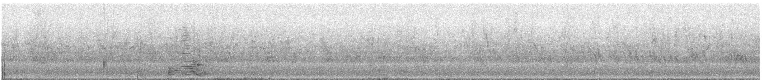 svanegås (domestisert) - ML486640621