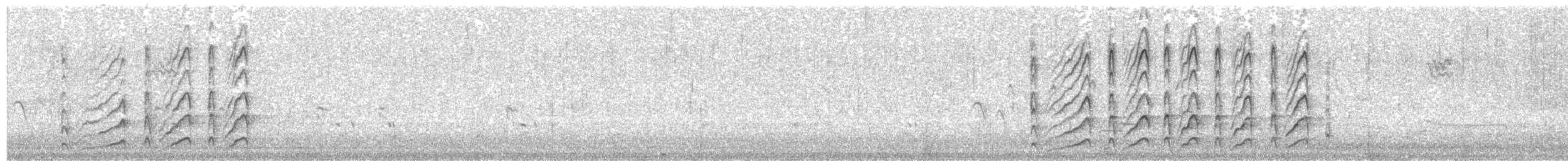 Black-tailed Godwit - ML486643551