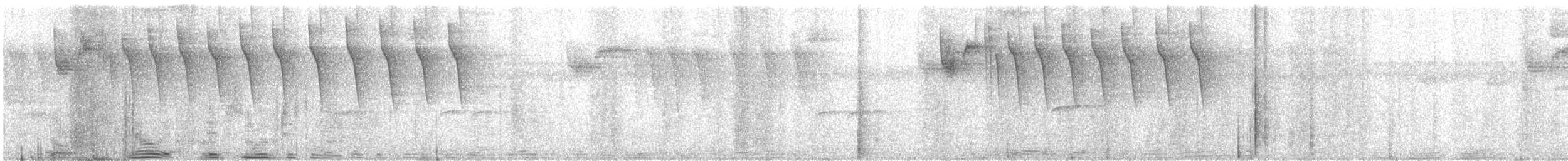 kolibřík zlatoocasý - ML48665761