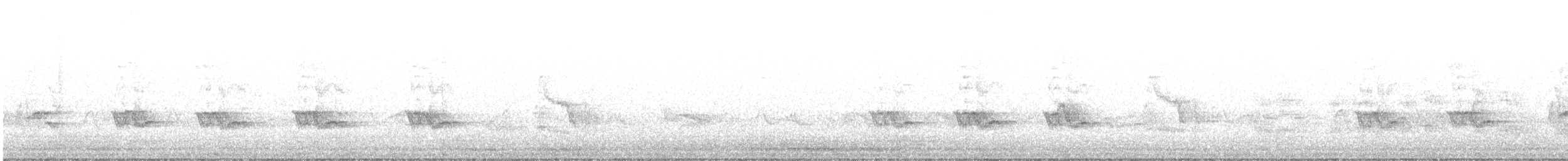 Merle austral (magellanicus/pembertoni) - ML486674741