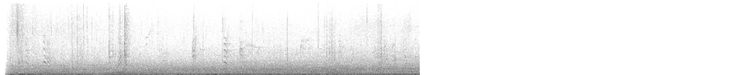 Black-tailed Godwit - ML486684661