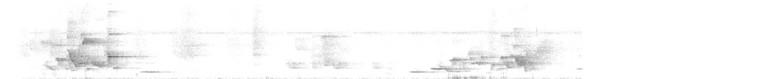 svartbukglansstær - ML486723051