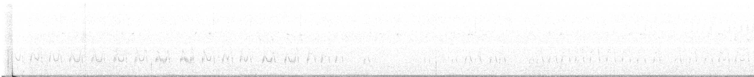 Western Grebe - ML486737471