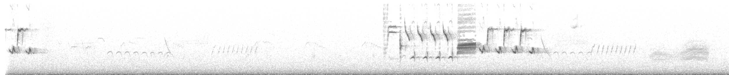 Длиннохвостый крапивник - ML486753131