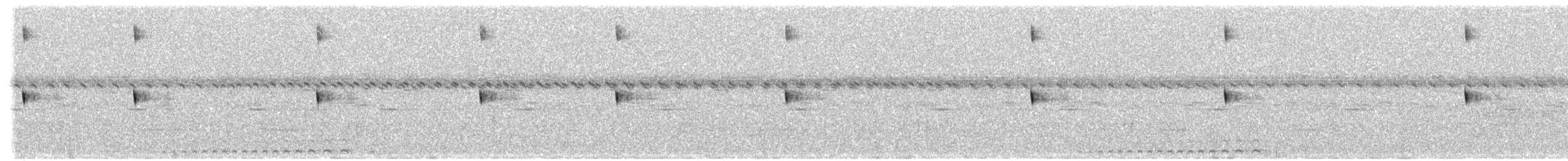 Scissor-tailed Nightjar - ML486764841