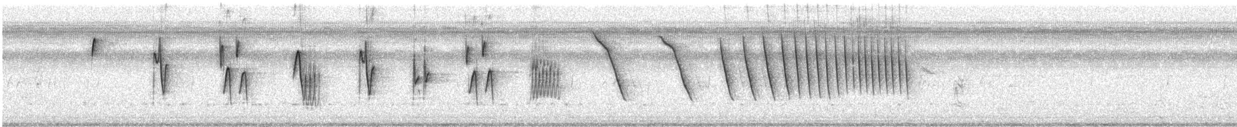 Chingolo de Botteri - ML486807821