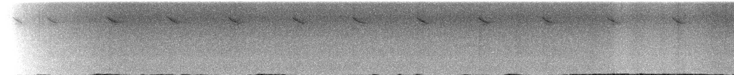 kolibřík irisový - ML486813261