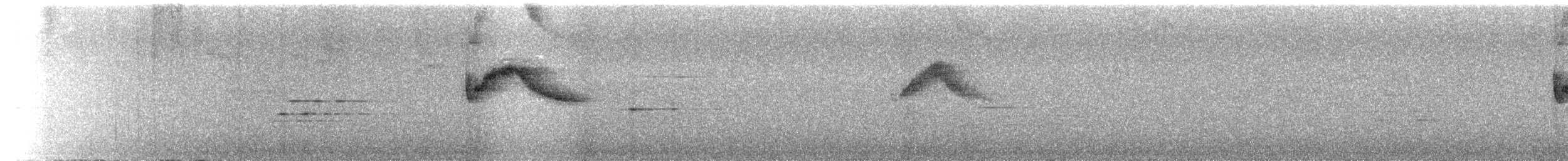 Kestane Karınlı Bülbül Tiranı - ML486813381