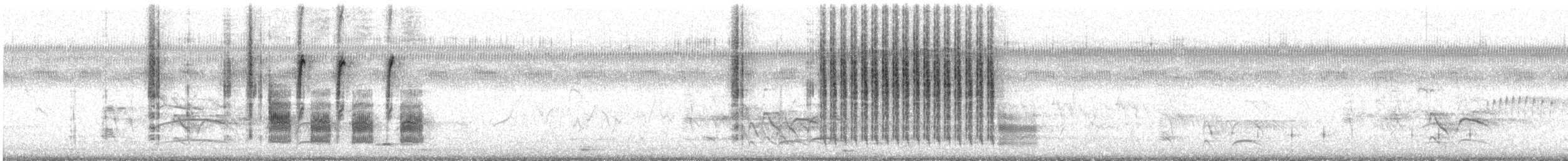 Cucarachero Sabanero (grupo elegans) - ML486814971