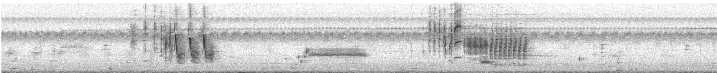 Cucarachero Sabanero (grupo elegans) - ML486822901