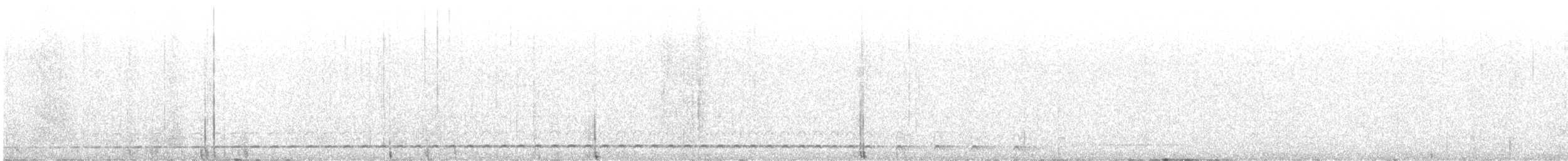 Short-tailed Antthrush - ML486873291