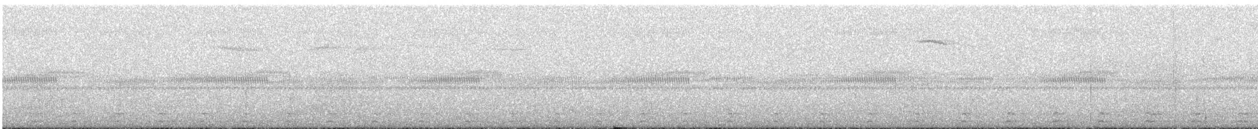 Swinhoe's Pheasant - ML486937221
