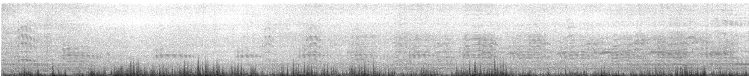 Mouette argentée (scopulinus) - ML486937601