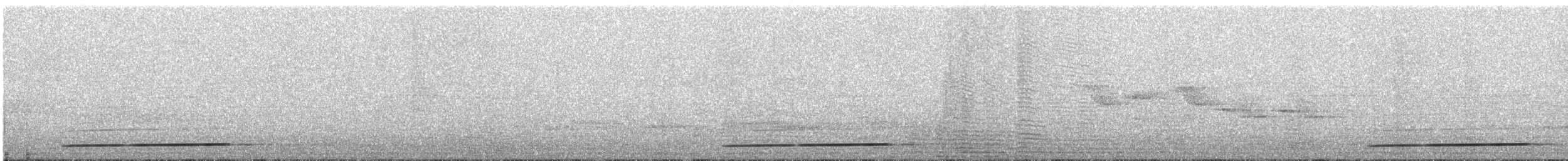 Torquéole de Sonnerat - ML48693791