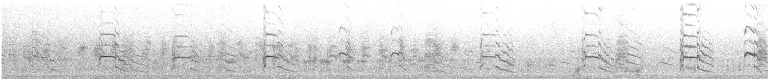 Trauerseeschwalbe (niger) - ML486952501