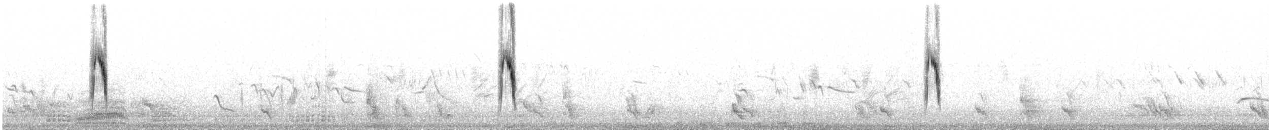Lavandera Cetrina - ML486958651