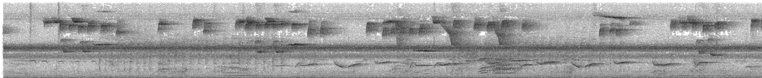 Белобровый певун - ML486962161