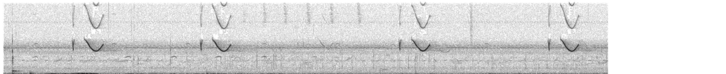 Spot-tailed Nightjar - ML486963181
