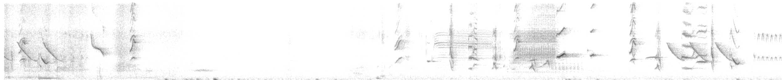 Патагонский курен - ML487040911