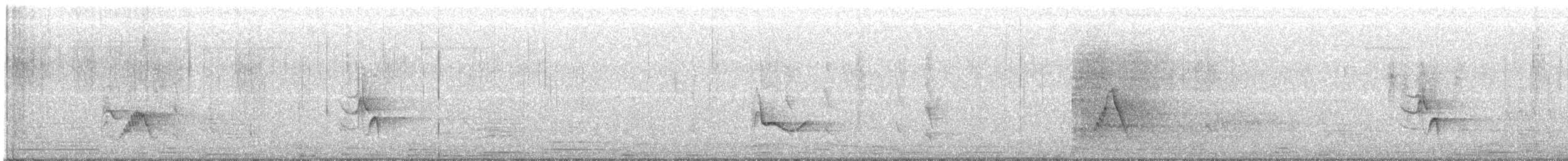 Cassin's Vireo - ML487068601