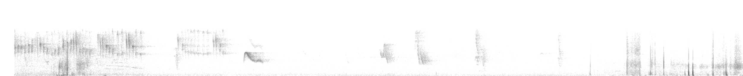 Ak Tepeli Elenya (chilensis) - ML487101831