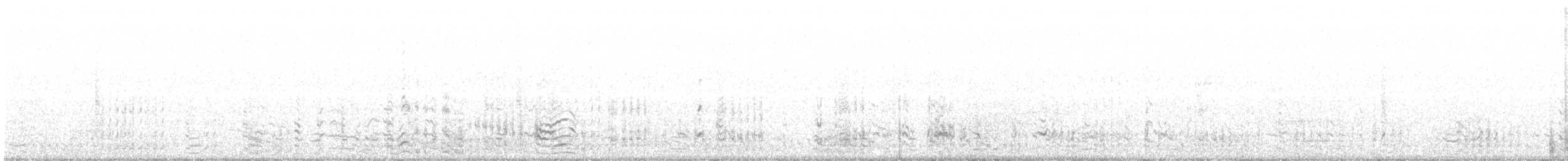 krocan divoký - ML487114351
