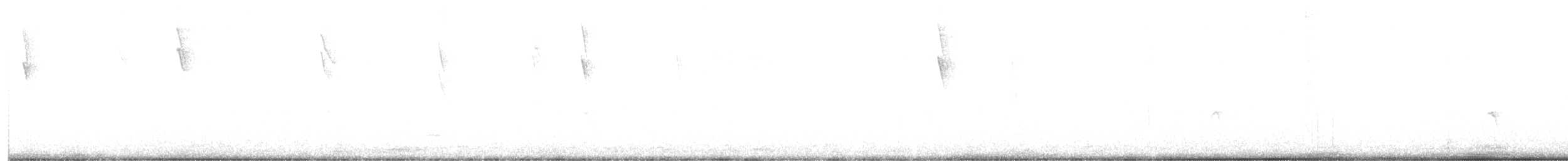 コバシマユシトド - ML487199121